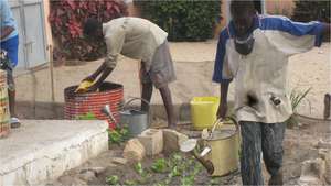 Faithful watering is the key!!