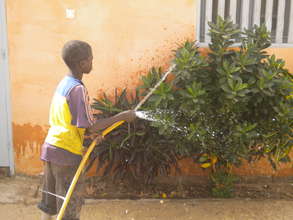 Talibe watering plants beside MDG resource centre