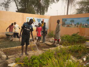 Talibe children caring for garden in MDG centre