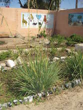 Peppers and other plants in MDG centre