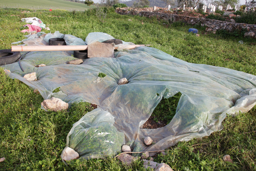 The Freedom Bus - Community Theatre