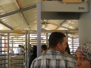 The Freedom Bus - Community Theatre