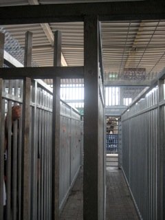 The Freedom Bus - Community Theatre