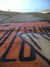 The Apartheid Wall