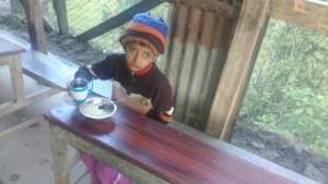 One of the Small girls having  breakfast