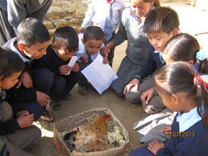 A hen hatched 12 chickens