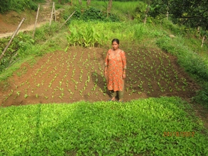 Cook mother in    the kitchen garden