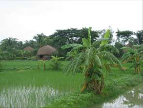 Monsoon beauty in Bengal