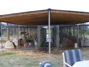 Big Shelter with Roof