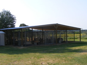 Small Shelter with Roof