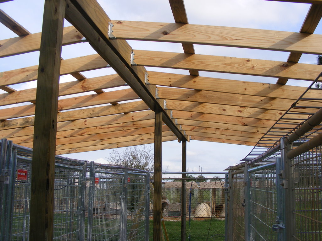 Complete our roof and feed homeless dogs