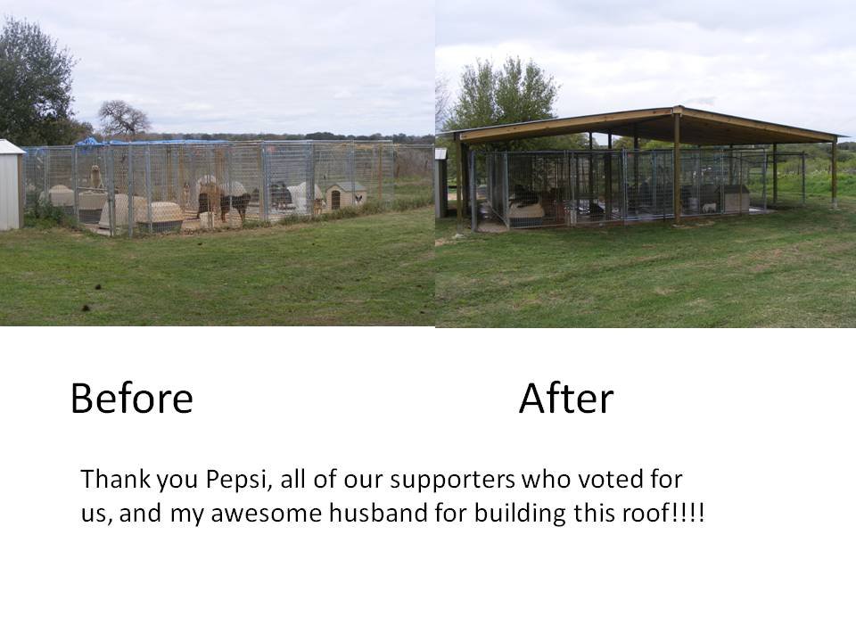 Complete our roof and feed homeless dogs