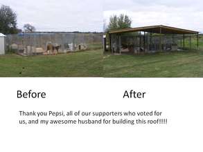 Complete our roof and feed homeless dogs