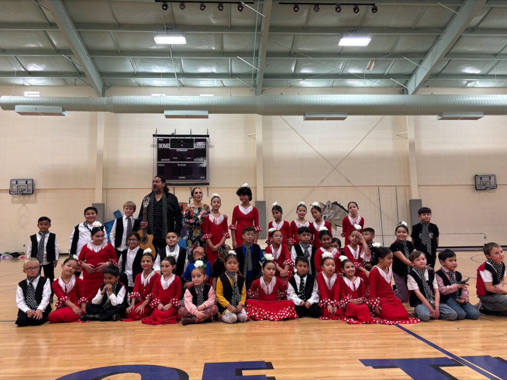 Flamenco in NM
