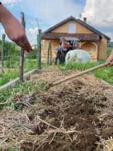 Preparing the garden