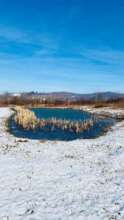 The lake