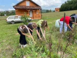 Learning about Permaculture