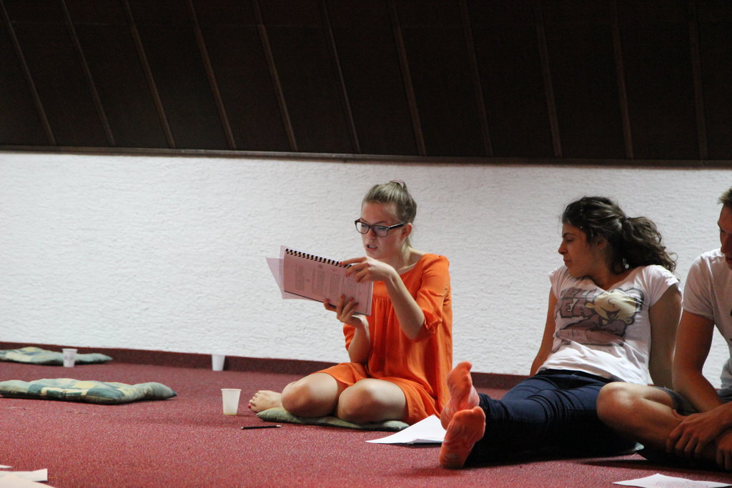 Sponsor Bosnian-Herzegovinian youth to build peace