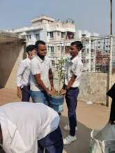 Students engaged in tree plantation