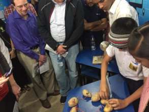 Driving the Curious Mind- A Step Towards Science