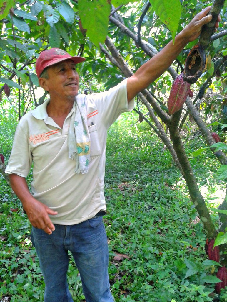 Angel, a cacao farmer in Colombia
