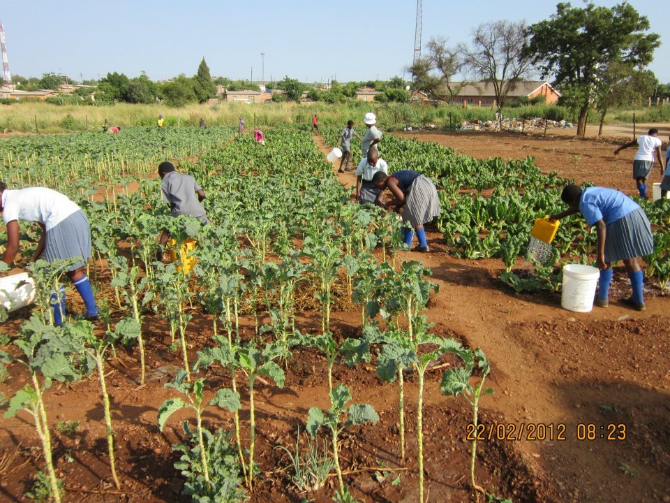 Train 320 Zimbabwean students on social innovation