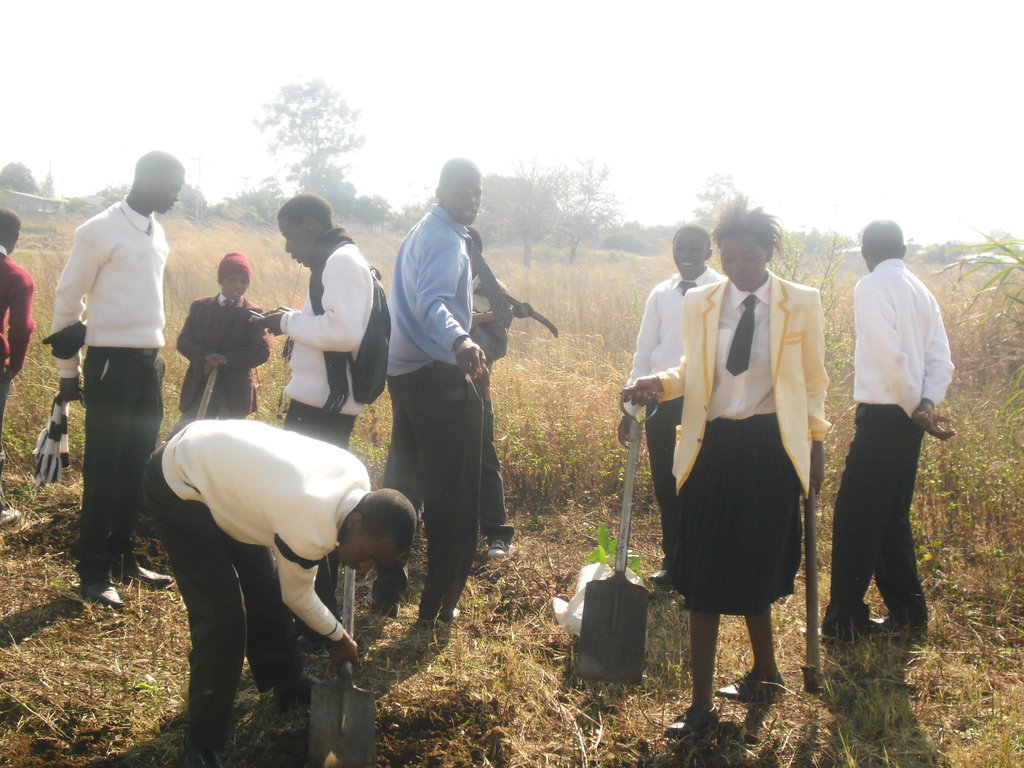 Train 320 Zimbabwean students on social innovation