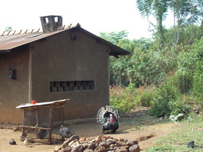 Turkey in Uganda ... micro project