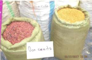 Seeds for the group members to plant