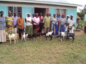 Second round of goats for child headed households