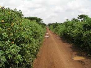 Rural Uganda