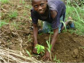 A child joins in the tree planting