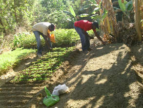 Bethel nursery maintenance by community members