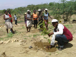 Women's group planting trees