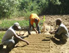 Community members sow seeds in their nursery.
