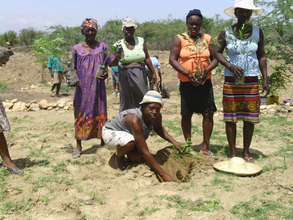 Rural women's group reforesting their land