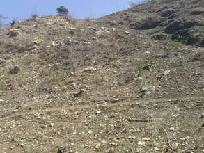 Degraded Land in Bethel