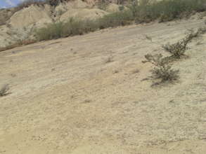 Degraded Land in Bethel