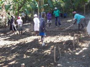 Farmers At Work after Receiving Training in Haiti
