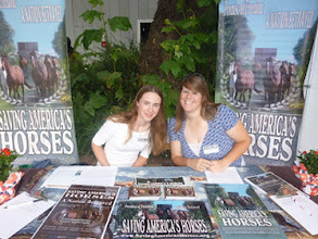 Malibu Equestrian Art Show