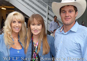 Malibu Equestrian Art Show