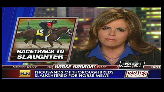 Saving America's Horses