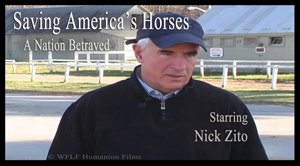 Saving America's Horses