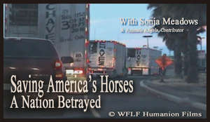 Saving America's Horses Production still