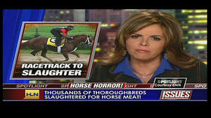 Saving America's Horses Production still