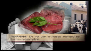 Saving America's Horses Production still