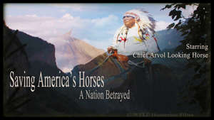 Chief Arvol Looking Horse