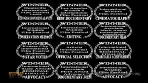 Saving America's Horses' Awards