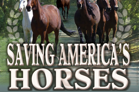 Saving America's Horses