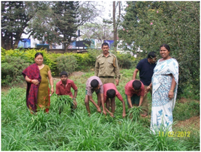 Horticulture by students